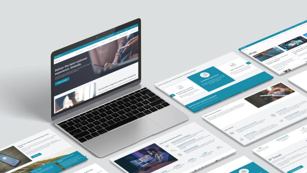 BICS_case_study_header